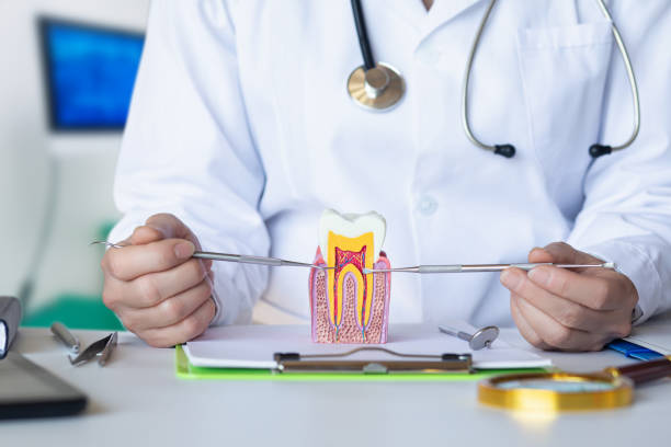Best Emergency Tooth Extraction in West Carrollton, OH